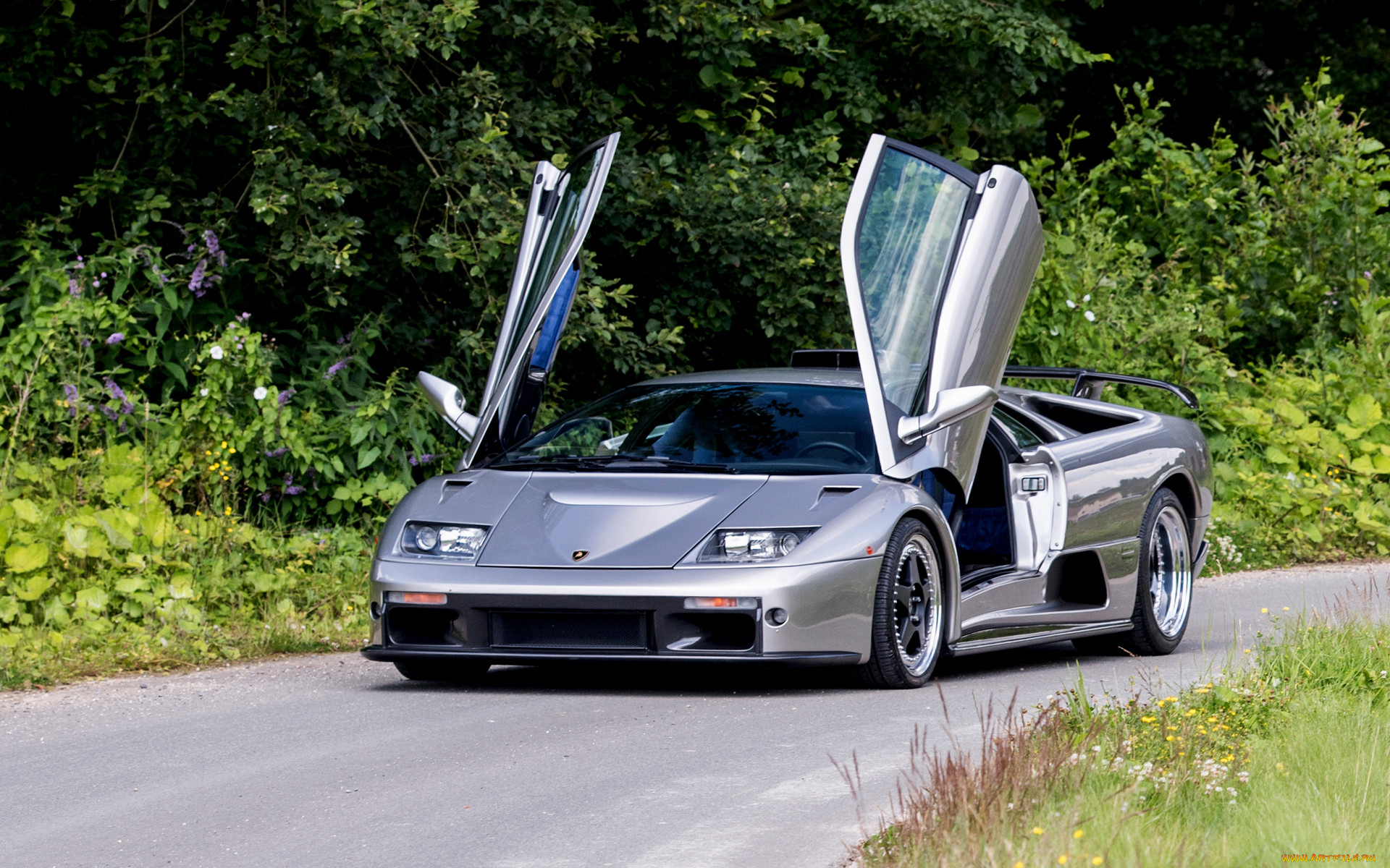 , lamborghini